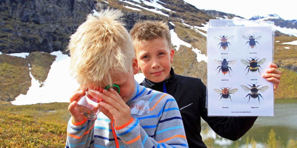 Humle Ishavskysten friluftsråd